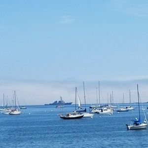 Meet your Posher, Vin